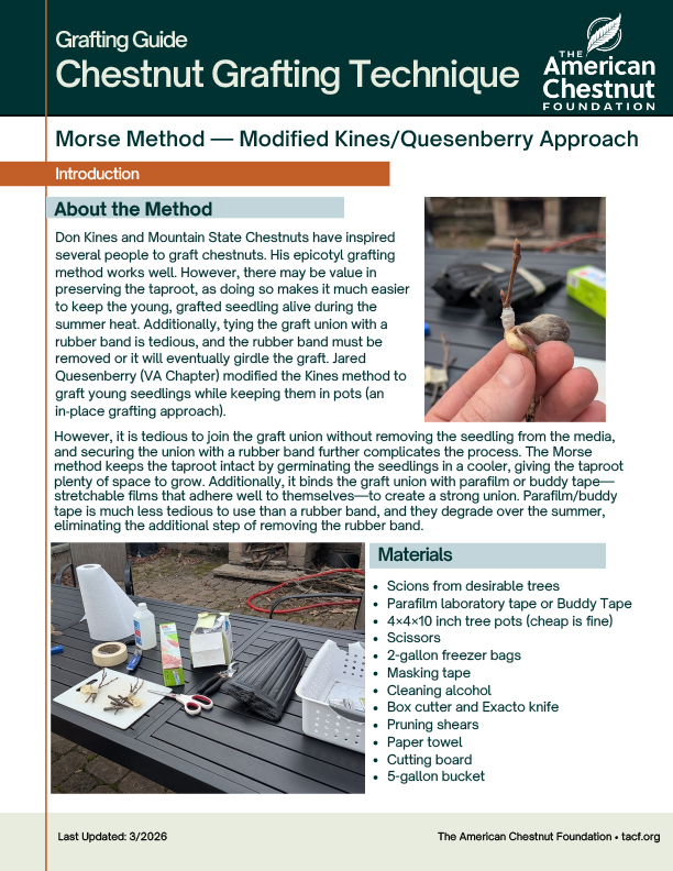 grafting technique page 1 image