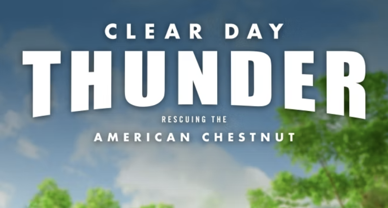 Clear Day Thunder logo screenshot