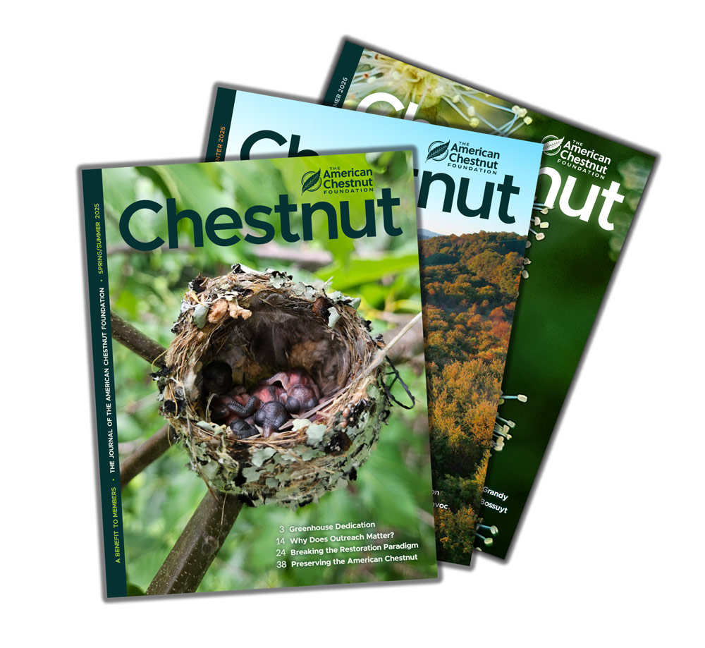 stack of three Chestnut magazines