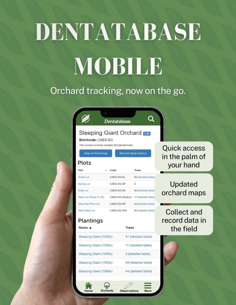 Preview of future dentataBase mobile app.