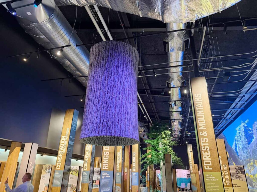 Tree trunk suspended from the ceiling at the National Museum of Forest Service History.