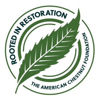 TACF badge logo