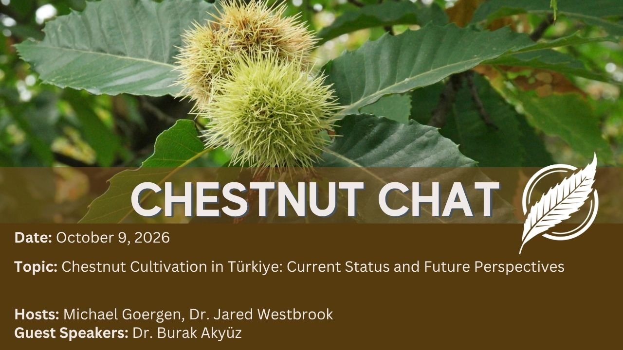 Cover page for Chestnut Chat: Chestnut Cultivation in Türkiye