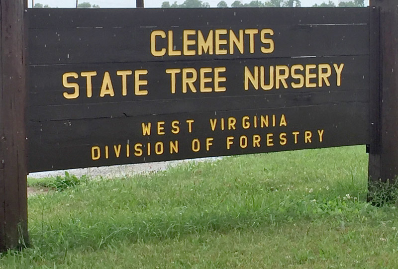 Clements State Tree Nursery sign